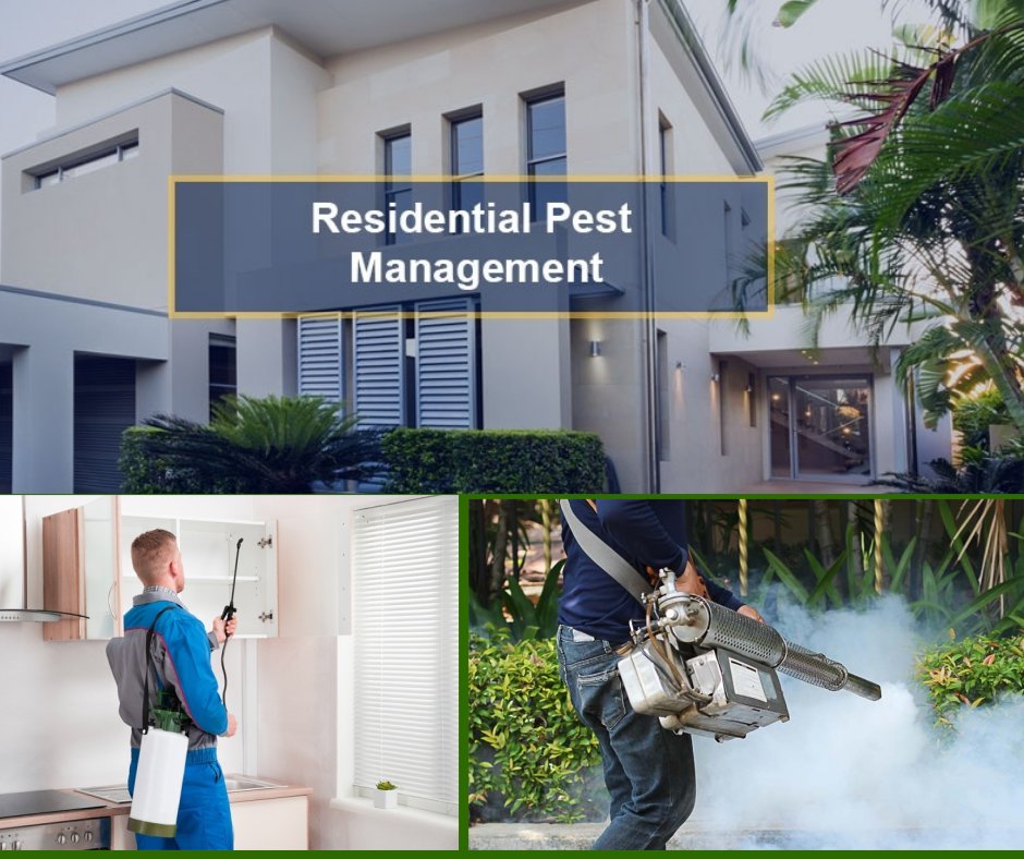Residential Pest Control