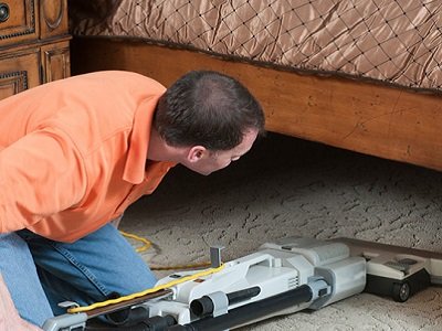 BED BUG CONTROL