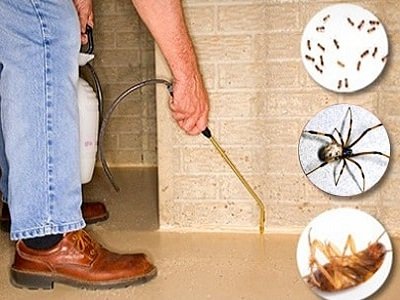 Pest Control Services