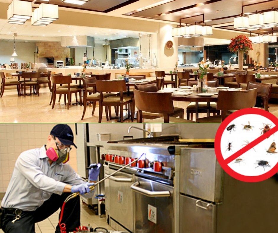 restaurantpestcontrol