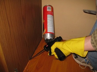 wood-borer-treatment