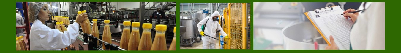 ATOZ Pest Control Services