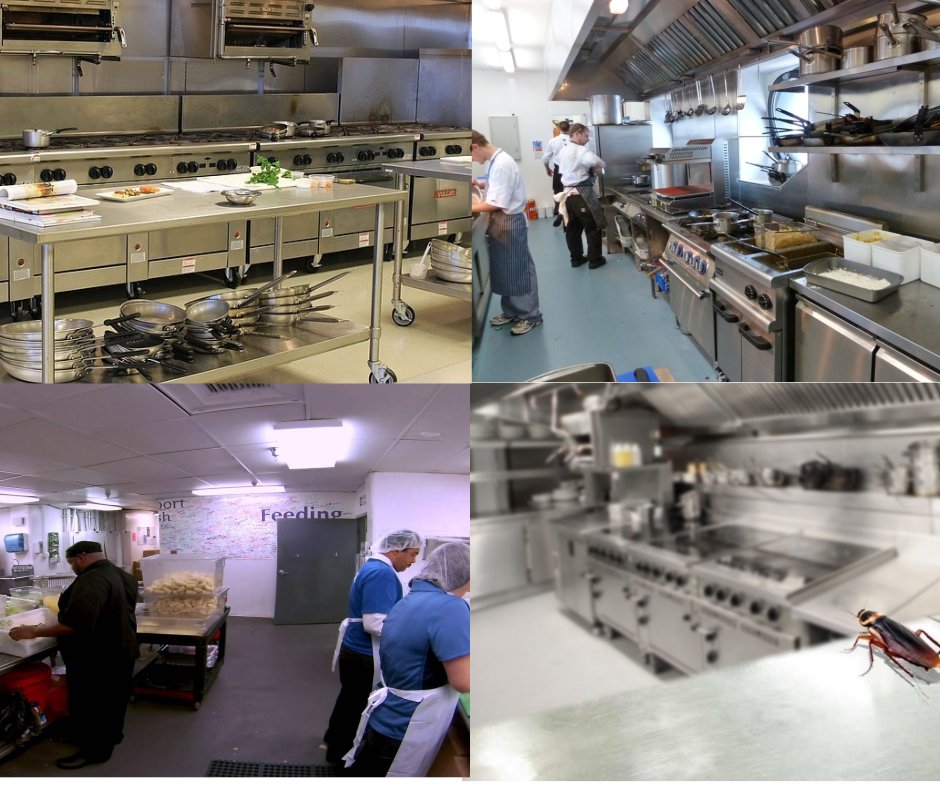 Commercial Kitchen Pest Control