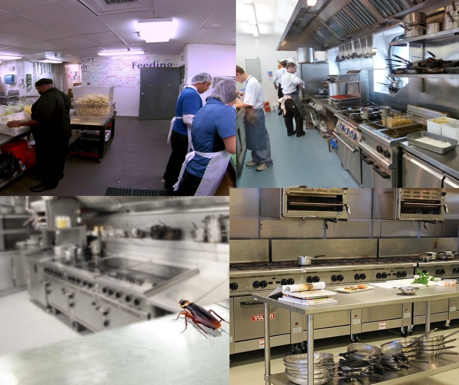 Pest Control Services for Restaurants